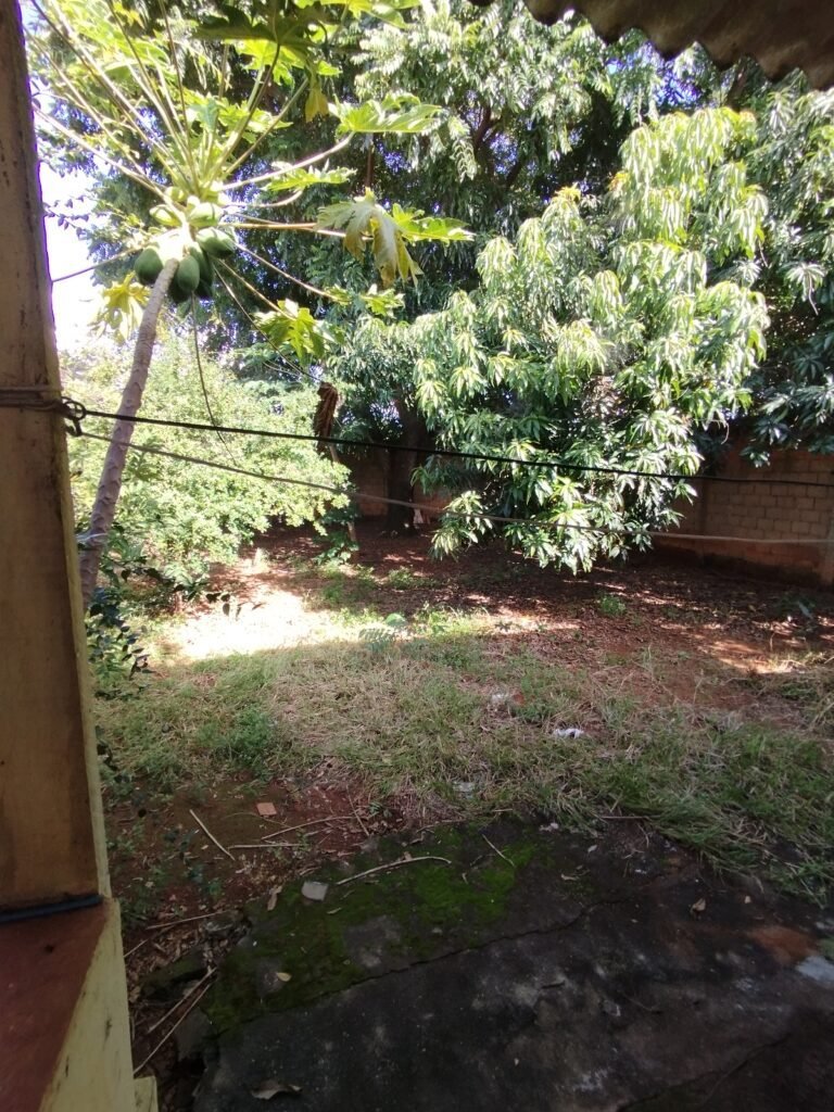 IMG_20240405_152613-1