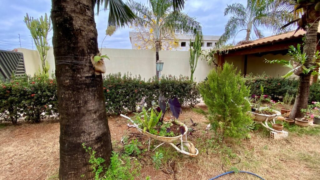 Imagem-do-WhatsApp-de-2024-08-19-as-14.57.49_1fabdbb7